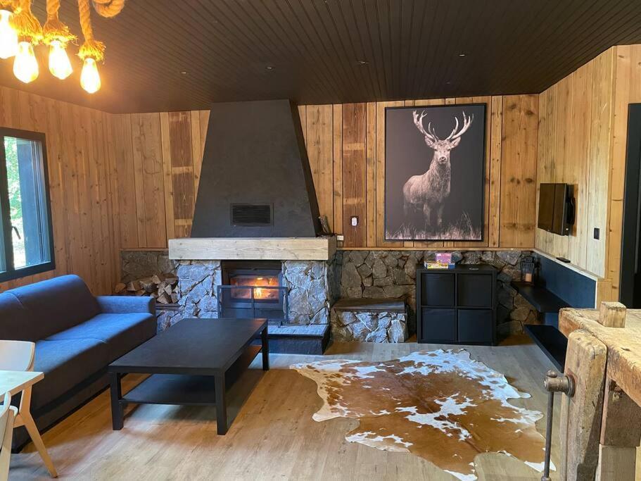 Chalet En Foret Avec Etang. Saint-Etienne-les-Remiremont Exterior foto